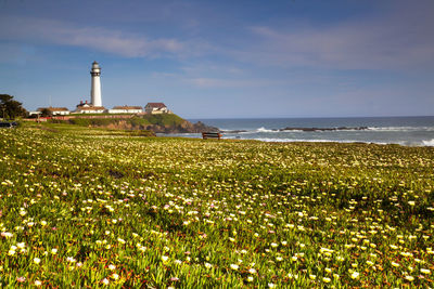 Pigeon point lighthouse, california