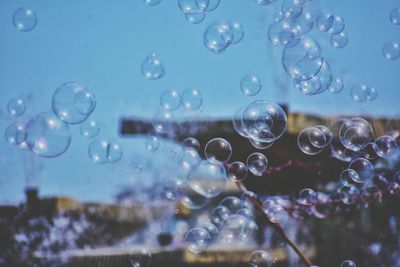 Soap bubbles in gdynia