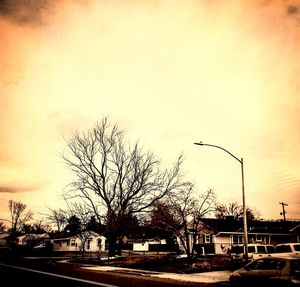 Silhouette of tree against sky during sunset