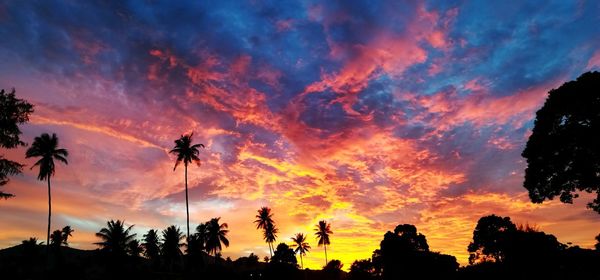 Low angle view of silhouette palm trees against sky