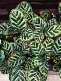 High angle view of vegetables for sale in market