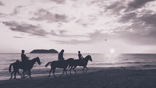 People horseback riding on shore at beach against sky