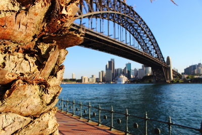 Sydney harbour bridge at sunset 