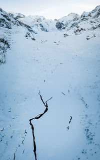 Flock of birds on snow against sky