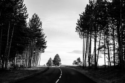 Empty road amidst trees against sky