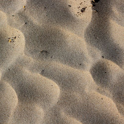High angle view of footprints on sand