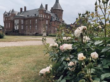 Flowering plants on field by historic building against sky