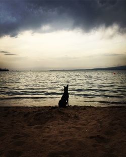 Silhouette person on beach against sky