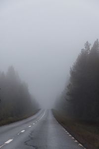 Empty country road amidst trees in foggy weather