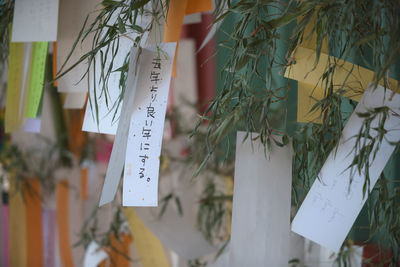Close-up of papers hanging on wall