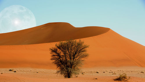 Scenic view of desert against clear sky