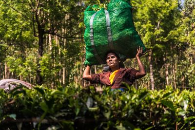 Low angle view of mid adult woman carrying sack on head in forest