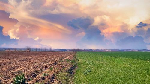 Scenic view of field against sky during sunset