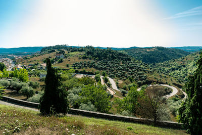 Scenic view of field against clear sky