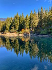 Scenic view of lake against trees during autumn