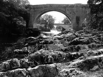 Arch bridge over river in forest