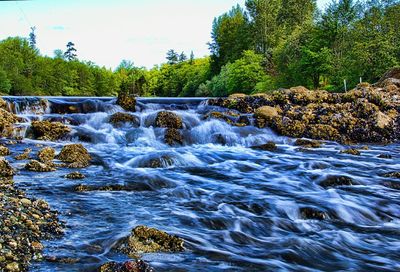 Waterfall in forest
