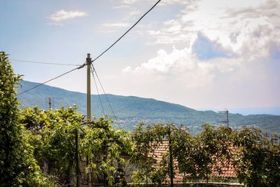 Plants and trees and buildings against sky