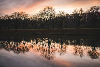 Reflection of trees in lake against sky during sunset