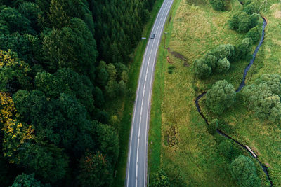 Car moving on road through pine tree forest, aerial view