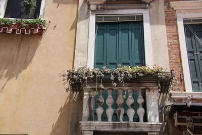 Low angle view of potted plants on balcony of building