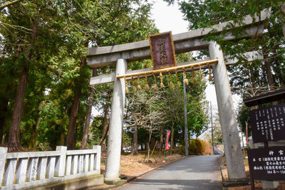 Footpath amidst trees in park