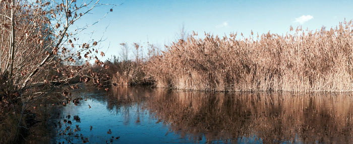 Scenic view of lake against sky