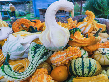 Close-up of pumpkins for sale at market stall