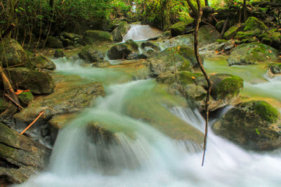 Scenic view of waterfall in forest