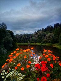 Scenic view of lake against cloudy sky
