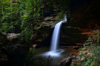 Scenic view of waterfall in forest