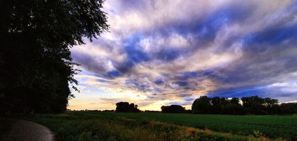 Scenic view of field against sky during sunset