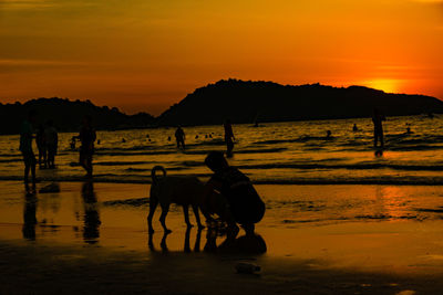 Silhouette dogs on beach against sky during sunset