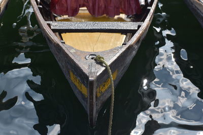 High angle view of a bird on wood