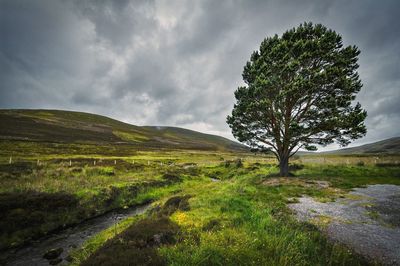 Scenic view of grassy field against cloudy sky