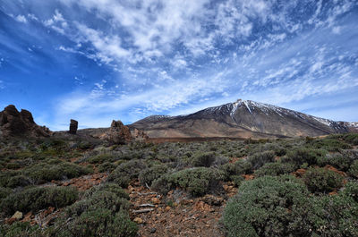 Scenic view of landscape against sky