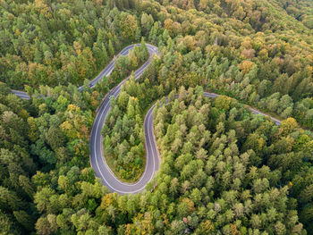 High angle view of winding road amidst trees in forest