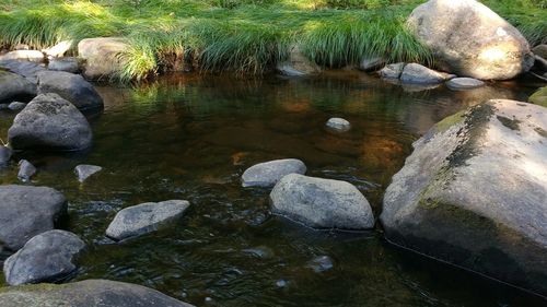 Stream flowing through rocks