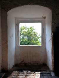 Window of old building