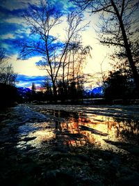 Bare trees at sunset