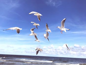 Seagulls flying over sea against sky