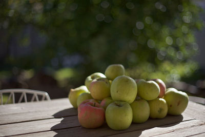 Freshly picked apples bask in the sun ripening.