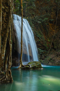 Scenic view of waterfall in forest