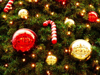 Decorated christmas tree at night