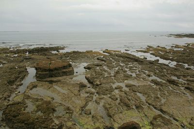 sea