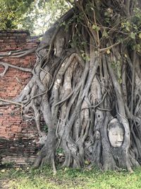 Statue of buddha against trees