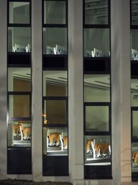 Buildings seen through glass window at night