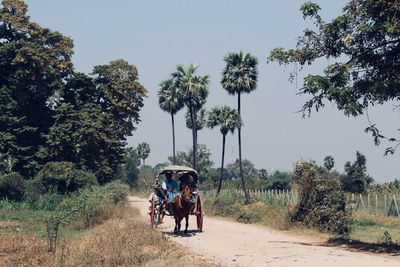 People riding motorcycle on road