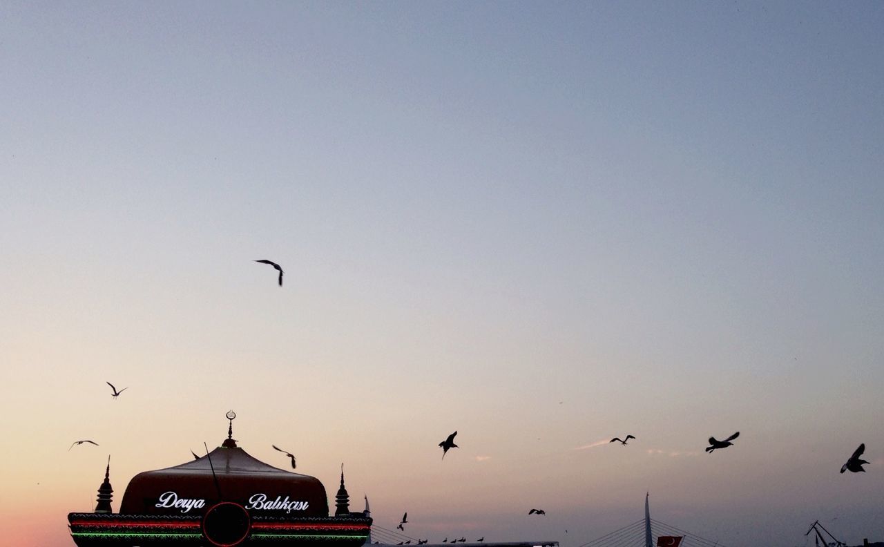 bird, flying, low angle view, animal themes, animals in the wild, wildlife, clear sky, built structure, mid-air, architecture, copy space, sky, flock of birds, building exterior, sunset, silhouette, outdoors, high section, transportation