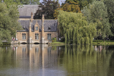 Reflection of trees in lake